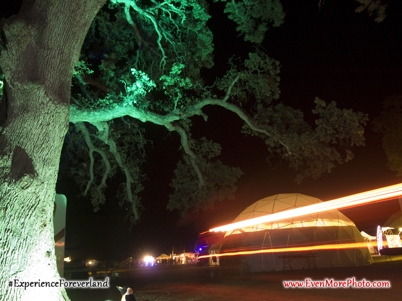 foreverland_evenmorephoto_103